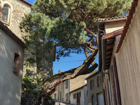 Appartement atypique avec wifi au cœur de Clisson - Photo 20