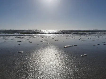 Appartement à 50m de la plage avec parking et Wi-Fi - Photo 8