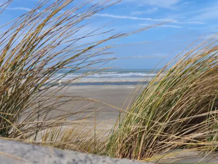 Appartement à 50m de la plage avec parking et Wi-Fi - Photo 9