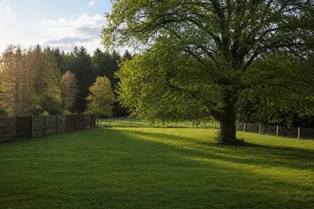 Ardenne Escape, Maison d'évasion des Ardennes pour 12 personnes - Photo 34