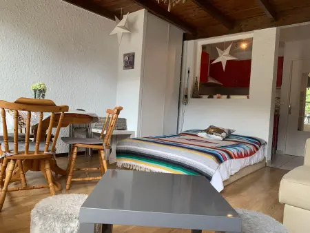 Confortable studio 4 pers avec balcon sud à Pra Loup - Photo 4