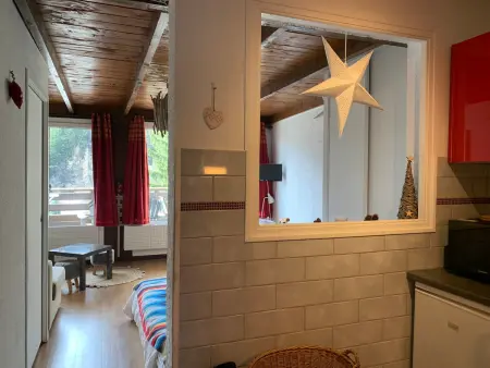 Confortable studio 4 pers avec balcon sud à Pra Loup - Photo 15
