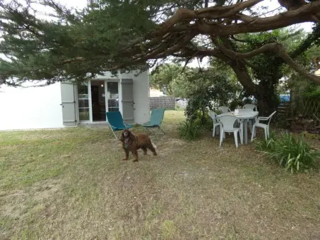 Maison Vendéenne 3 Ch, Prop. Animaux, Proche Plage - Photo 13
