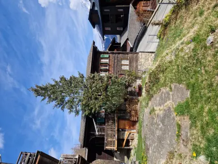 Dorfstrasse 97 2. OG Süd, Appartement 4 personnes à Betten - Photo 3