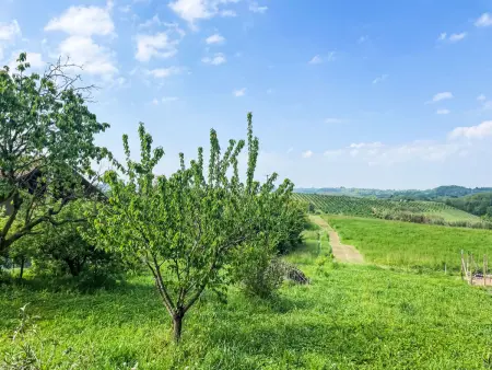 Casetta di Agnese, Maison 2 personnes à San Damiano d'Asti - Photo 18