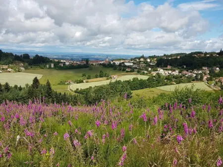 Gîte écologique spacieux avec jardin - Randonnées et patrimoine à découvrir - Photo 35