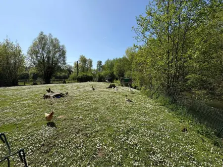 Chalet convivial avec vue sur la rivière - 62 m² - Photo 38