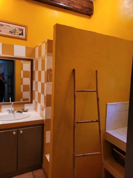 Appartement lumineux à Arles avec piscine partagée - Photo 4