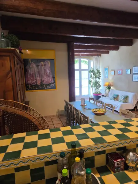 Appartement lumineux à Arles avec piscine partagée - Photo 20