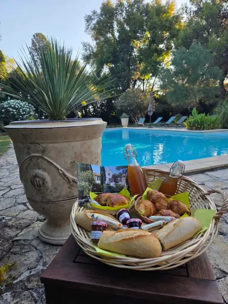 Appartement familial à Arles avec jardin et piscine - Photo 11