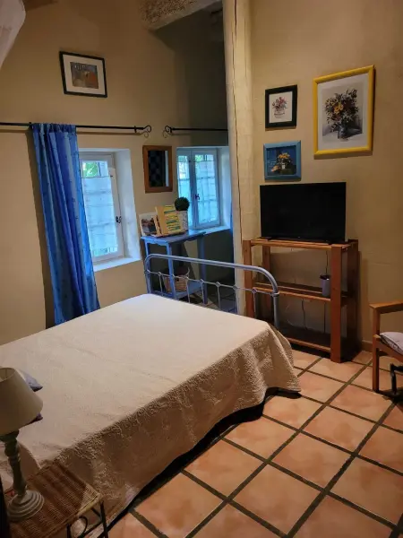 Appartement familial à Arles avec jardin et piscine - Photo 17