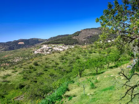 Paraje Starlight Murtas - Alpujarra, Maison 4 personnes à Granada Murtas - Photo 39
