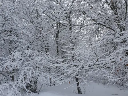 Gîte lumineux pour 2 personnes dans les Hautes-Vosges - Photo 18