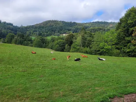 Gîte lumineux pour 2 personnes dans les Hautes-Vosges - Photo 21