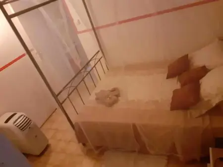 Appartement chaleureux à Fort-de-France, 50 m² avec terrasse - Photo 10