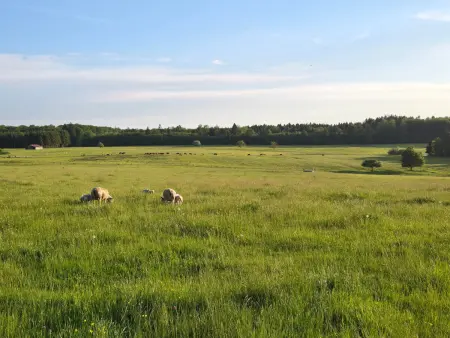 Gîte paisible avec jardin et possibilité d'animaux à Gruey-lès-Surance - Photo 18