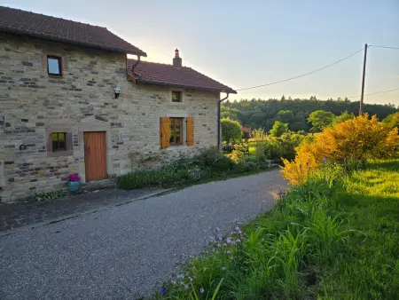 Gîte paisible avec jardin et possibilité d'animaux à Gruey-lès-Surance - Photo 20