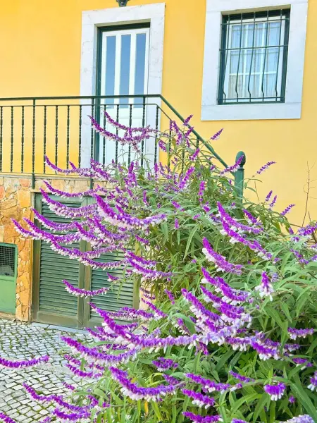 Retraite Relaxante à Vilar da Mó - Villa avec Piscine Privée - Photo 6