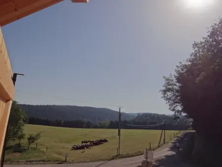 Chalet des 4 Vents: Nature et Activités Vosges, Gite 6 personnes à Girmont Val d'Ajol - Photo 1