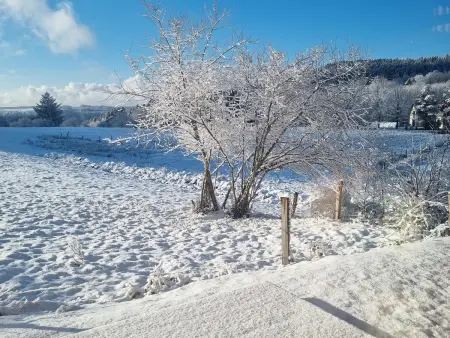 Chalet des 4 Vents: Nature et Activités Vosges, Gite 6 personnes à Girmont Val d'Ajol - Photo 18