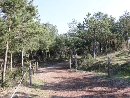 Studio Neuf 23m² Proche Plage et Centre Tout Inclus - Photo 26