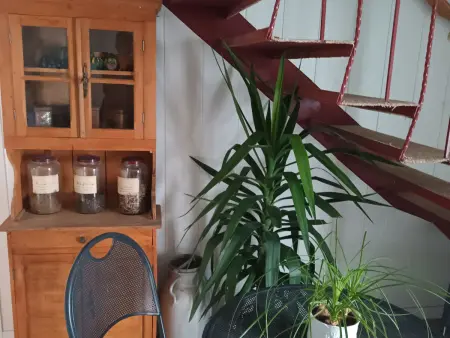 Gîte indépendant avec étang - 3 chambres, animaux admis - Photo 16