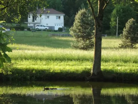 Gîte indépendant avec étang - 3 chambres, animaux admis - Photo 18