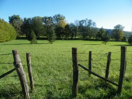 Gîte indépendant avec étang - 3 chambres, animaux admis - Photo 19