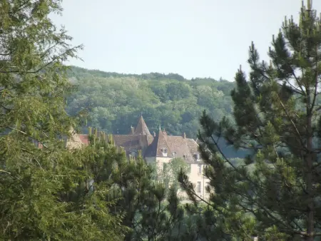 Gîte indépendant avec étang - 3 chambres, animaux admis - Photo 33