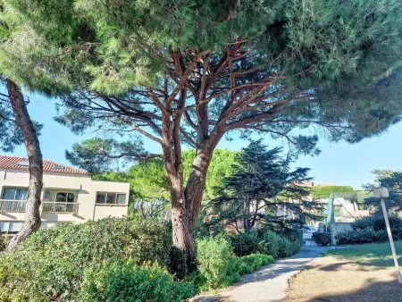 Les Marines d'Aryana, Appartement 2 personnes à Six Fours La Coudoulière - Photo 18