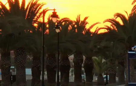 Maison 7 personnes à San Pedro del Pinatar - Photo 29