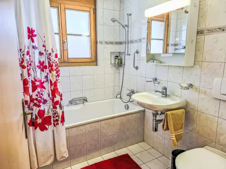 Haus Europa, Appartement 4 personnes à Kandersteg - Photo 17
