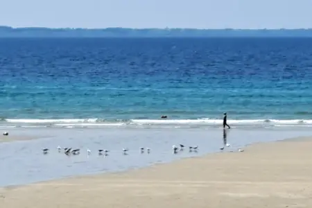 Doppelhaushälfte in Telgruc sur mer, Maison à Telgruc-sur-Mer près de la plage - Photo 13