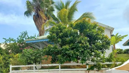 Bungalow charmant à Capesterre-Belle-Eau, 35 m², piscine - Photo 3