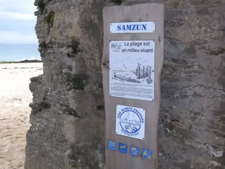 Charme de Samzun, Maison 8 personnes à Belle Ile en Mer - Photo 21