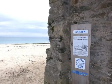 Charme de Samzun, Maison 8 personnes à Belle Ile en Mer - Photo 23