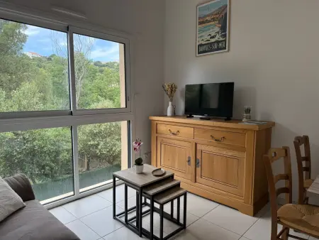 Banyuls-sur-Mer: Appartement pour 6 avec terrasse et parking - Photo 13