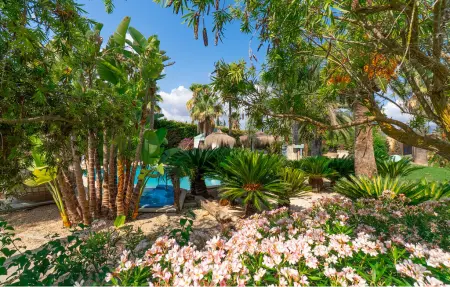 Le petit paradis, Maison 4 personnes à Binissalem - Photo 16