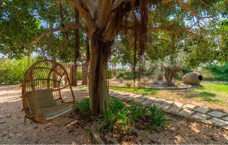 Le petit paradis, Maison 4 personnes à Binissalem - Photo 20