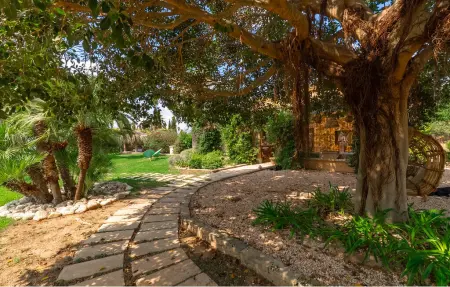 Le petit paradis, Maison 4 personnes à Binissalem - Photo 27