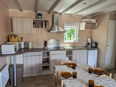 Mobil-home moderne dans la nature d'Auvergne, Chalet 6 personnes à Égliseneuve d'Entraigues - Photo 6