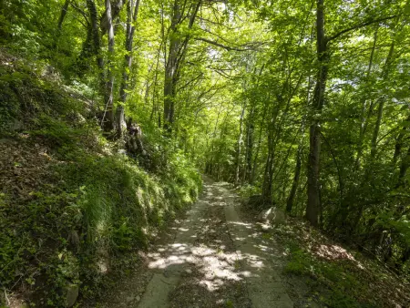 Il Castagneto, Villa 16 personnes à Iseo - Photo 8