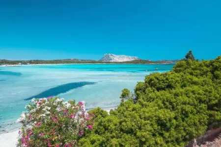 Villetta Meraviglia, Séjour de vacances à San Teodoro pour 6 personnes - Photo 28