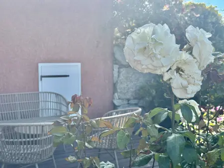 Appartement moderne avec WiFi et parking à Propriano - Photo 25