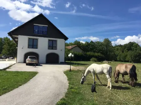 Villa spacieuse avec piscine près de Genève, Villa 14 personnes à Cercier - Photo 79