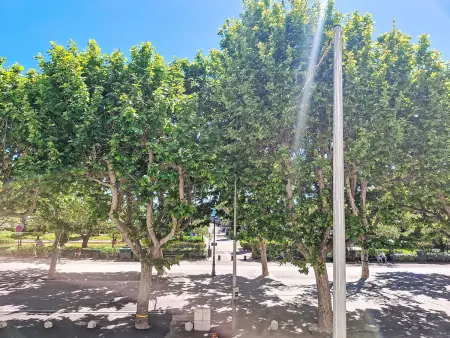 Résidence Le Mistral, Appartement 4 personnes à Sanary sur Mer - Photo 12