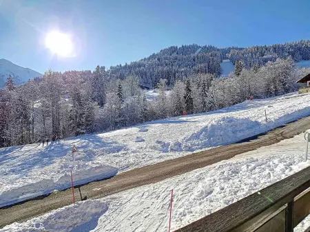 Appartement cosy à La Clusaz - 4 pers, balcon sud - Photo 9