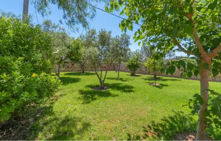Es gassons, Maison 6 personnes à Maria de la Salut - Photo 23
