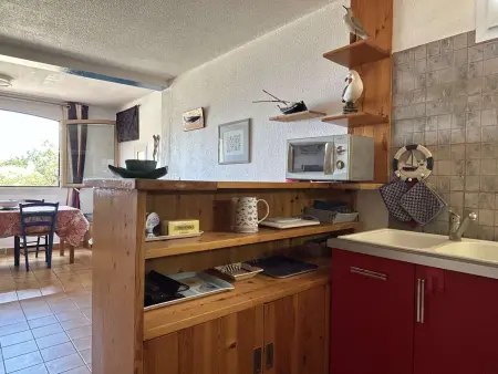Appartement 2 pièces vue mer avec climatisation à Banyuls-sur-Mer - Photo 7