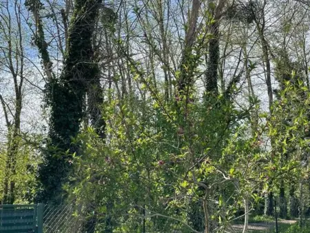 Maison spacieuse près de Troyes avec jardin et animaux acceptés - Photo 19